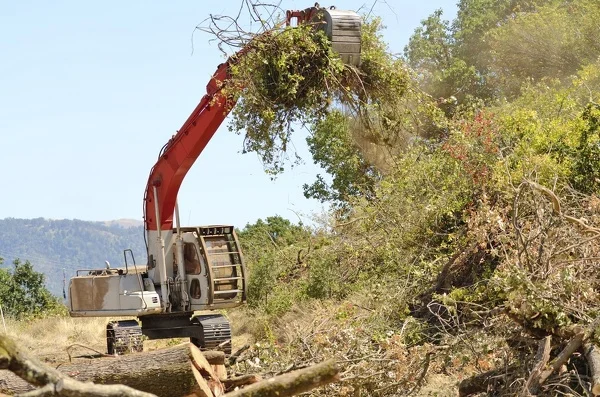 Land Clearing Service